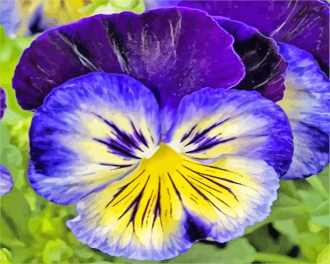 Blue And Yellow Pansy diamond painting