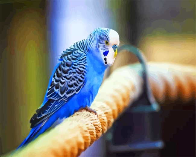 blue parakeet diamond painting