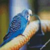 Blue Parakeet diamond painting
