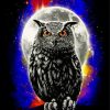 Galaxy Owl diamond painting