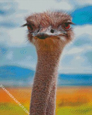ostrich animal diamond painting
