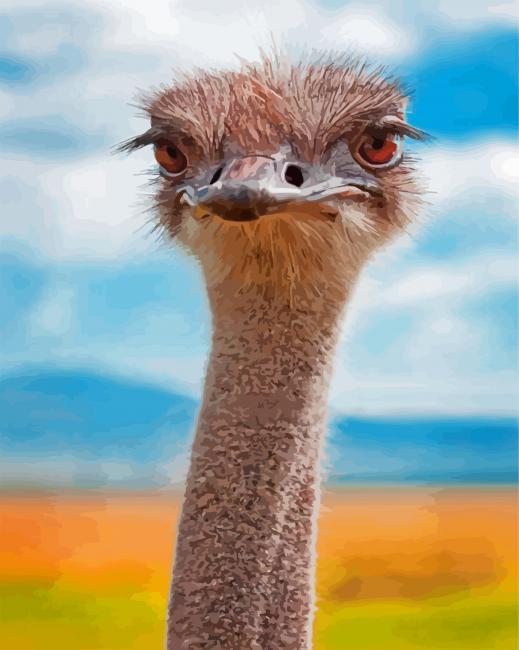 ostrich animal diamond painting