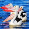 pelicans in the water diamond painting