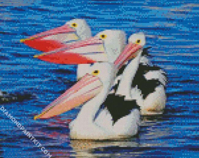 Pelicans In The Water diamond paintings