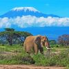 Amboseli National Park elephant kenya diamond painting