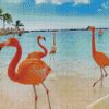 Aruba Flamingos diamond paintings