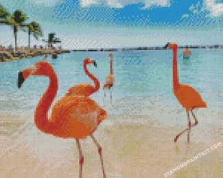 Aruba Flamingos diamond paintings