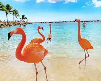 Aruba Flamingos diamond painting