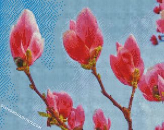Blooming magnolia diamond paintings