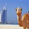 Camel And Burj Al Arab diamond painting