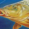 Carp Fish Head diamond paintings