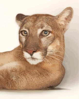 Cougar Animal diamond painting