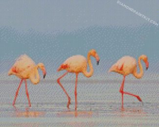 Flamingos Birds diamond paintings