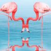 Flamingos Drinking Water diamond painting