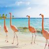 Flamingos In Aruba Beach diamond painting