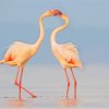 Flamingos Kiss diamond painting