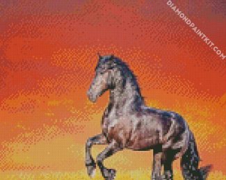Black Shining Horse Diamond Painting