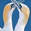 Gannets illustration diamond painting