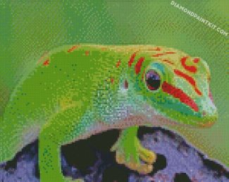 Gecko Reptile diamond paintings