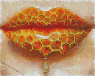 Honey Lips diamond paintings