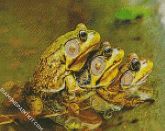 Kikkers frogs diamond paintings