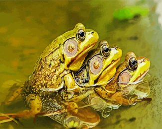 Kikkers frogs diamond painting