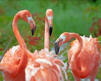 Orange Flamingos diamond painting