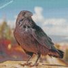 Raven Bird Animal diamond paintings