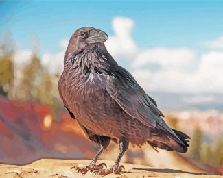 Raven Bird Animal diamond painting
