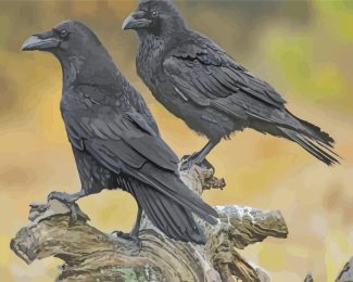 Ravens Birds diamond painting