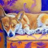 Sleepy Corgi Dog diamond painting
