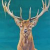 Stag Deer Animal diamond painting