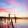Strathclyde Country Park sunset diamond painting
