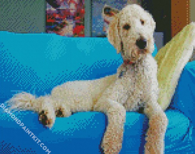 White Goldendoodle Dog diamond paintings