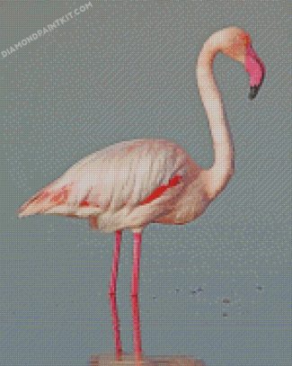 White Pink Flamingo Bird diamond paintings