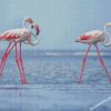 White Pink Flamingos diamond paintings