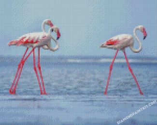 White Pink Flamingos diamond paintings