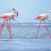 White Pink Flamingos diamond painting