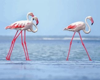 White Pink Flamingos diamond painting