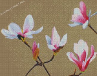 White Pink magnolia diamond paintings