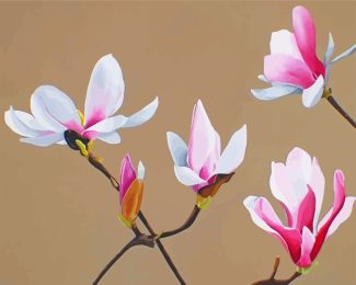 White Pink magnolia diamond painting