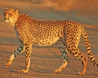 Wild Animal Cheetah diamond painting