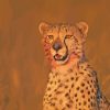 Wild Cheetah Animal diamond painting