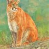 Wild Cougar Cat diamond painting