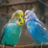 aesthetic parakeet birds diamond paintings