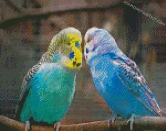 aesthetic parakeet birds diamond paintings