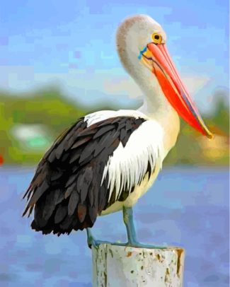 black and white pelican diamond paintings