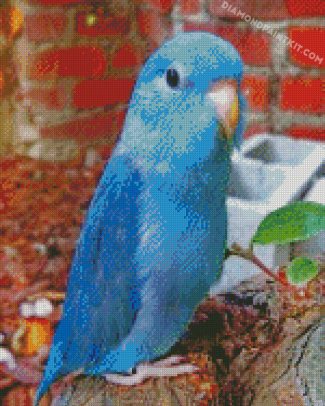 blue Parrotlet diamond paintings