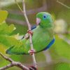 green and blue Parrotlet diamond paintings