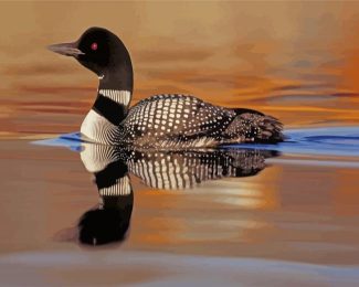 loon in the water diamond painting